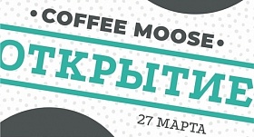 Coffee Moose 50% на ВСЕ напитки!
